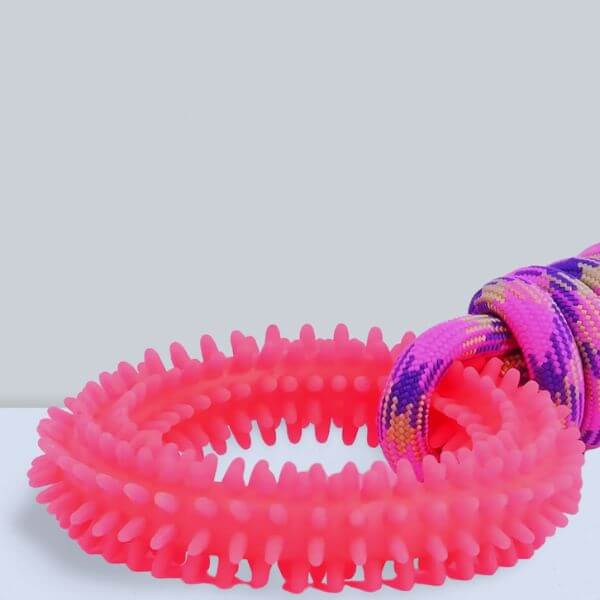 Ringy’s reinforced structure to prevent destructive chewing behaviors.