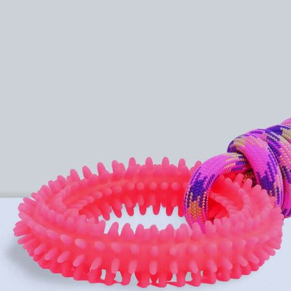 Ringy’s reinforced structure to prevent destructive chewing behaviors.