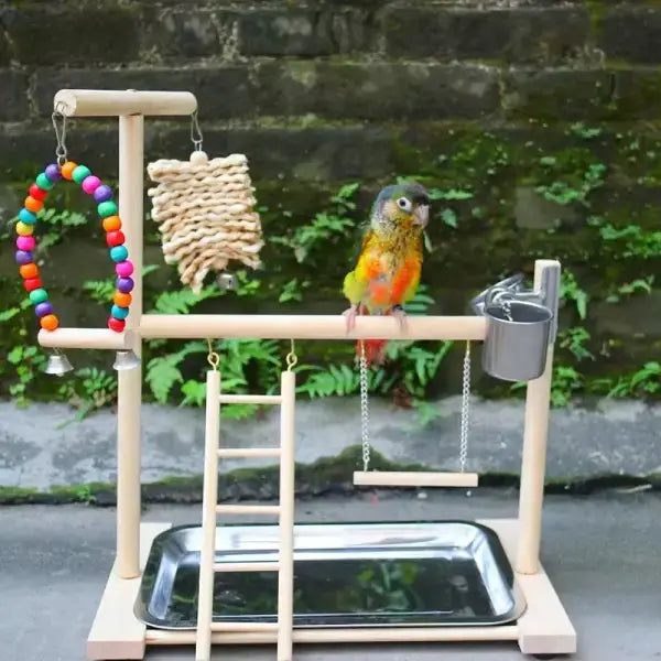 PlayBlock™Parrot Enrichment Toy for Anxiety & Boredom Relief