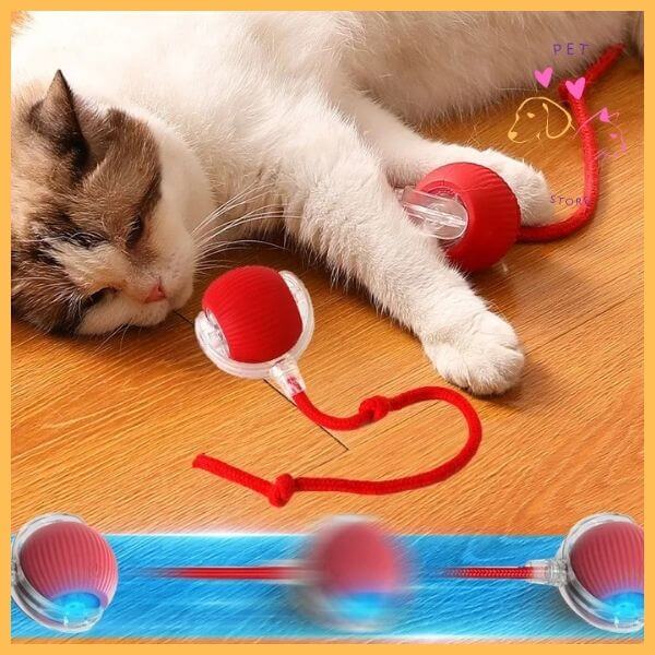 Cat playing with red interactive ball toy on wooden floor, cat toy for playful pets