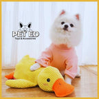 Pomeranian dog in pink shirt with yellow calming duck toy on wood floor, Pet Ed logo