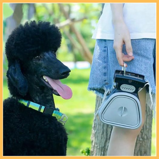 Person holding gray dog poop scooper beside black poodle outdoors