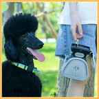 Person holding gray dog poop scooper beside black poodle outdoors