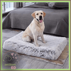 Labrador retriever sitting on a gray orthopedic dog bed in a modern bedroom setting