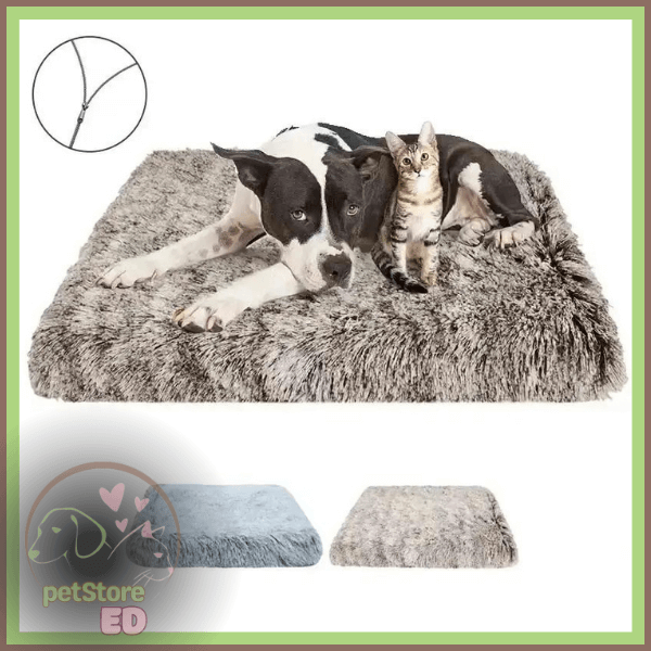 Dog and cat on a gray orthopedic pet bed, washable, non-slip, premium comfort.