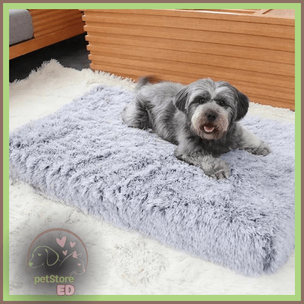 Small dog lying on a fluffy gray orthopedic pet bed, washable and non-slip, in modern room