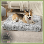 Corgi on plush gray orthopedic dog bed in cozy living room setting