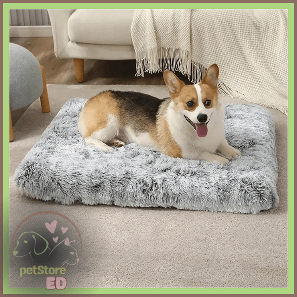 Corgi on plush gray orthopedic dog bed in cozy living room setting