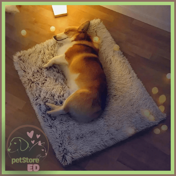 Corgi sleeping on a plush orthopedic dog bed with non-slip base on wooden floor