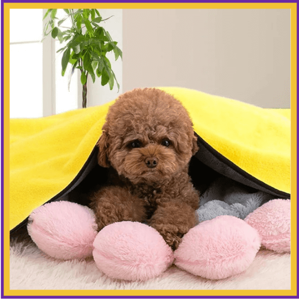 Cute brown puppy under a yellow pet towel on fluffy pink and gray bedding indoors