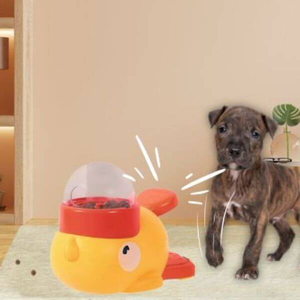 Pet Store ED food puzzle toy for puppies and small dogs.