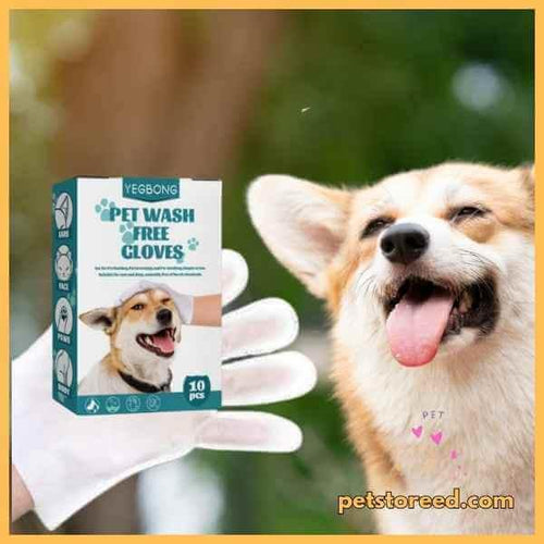Pet wash gloves box with happy dog outdoors, pet cleaning product, quick grooming solution