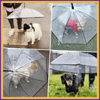 Small dogs under clear umbrellas for pets on rainy days, outdoor collage