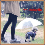 Small dog in denim harness walking under clear pet umbrella with owner outdoors