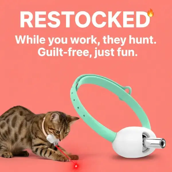 Rechargeable pet toy image showing guilt-free fun and restock notice for EU customers.