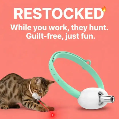 Rechargeable pet toy image showing guilt-free fun and restock notice for EU customers.