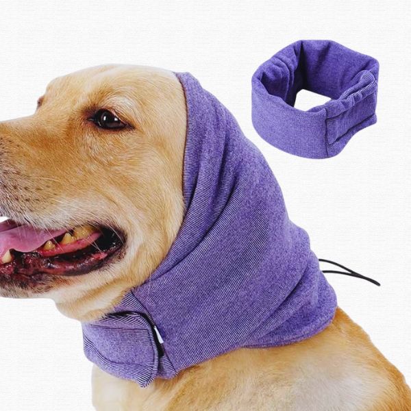 Dog wearing purple ear protector hood with adjustable strap, separate product shown