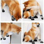 Tired of Cleaning Your Dog’s Wet & Dirty Paws? Try This! - Pet Store ED