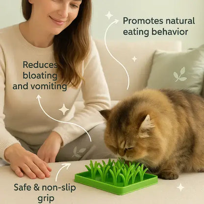 Comer rápido perjudica a las mascotas: cómo solucionarlo con suavidad | Gato