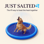 Overheated Dog? 🌞 Cool Them Down Fast with SplashPup Oasis Now! - Pet Store ED