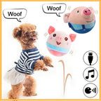 Small dog in striped outfit playing with bouncing pig toy, dog toy, interactive pet toy