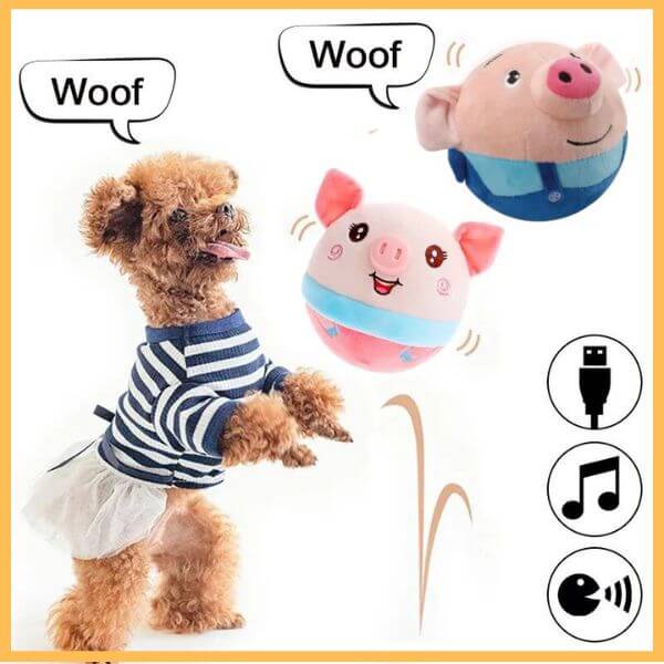 Small dog in striped outfit playing with bouncing pig toy, dog toy, interactive pet toy