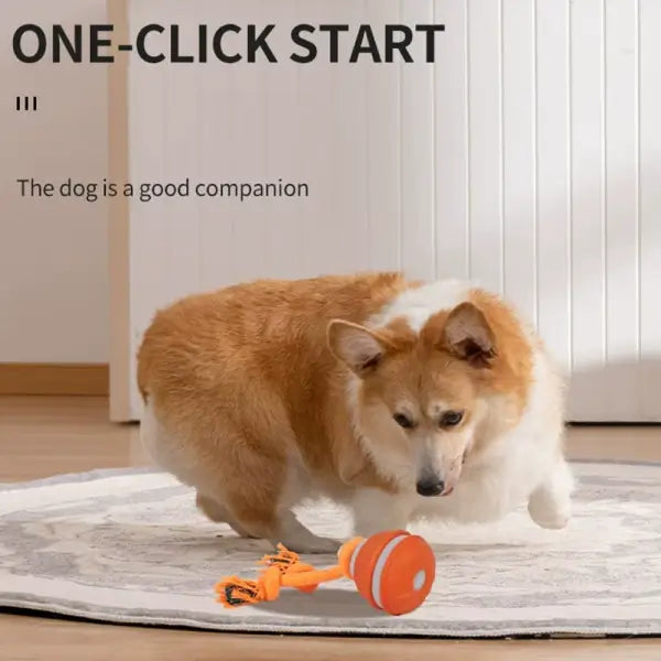 Pet engaging with smart toy providing mental stimulation through interactive dog toys design