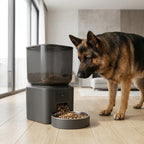 WiFi dog feeder with HD camera and stainless steel bowl dispensing dry food for large breed german shepherd in modern home