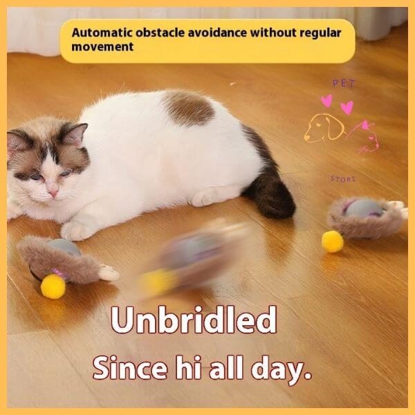 Cat playing with automatic moving toy balls on wooden floor, pet store marketing image