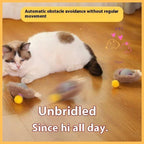 Cat playing with automatic moving toy balls on wooden floor, pet store marketing image