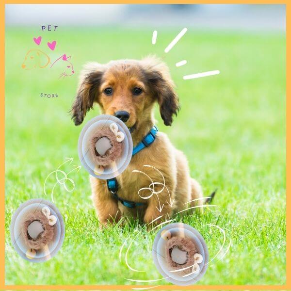 Brown puppy with blue harness plays on green grass with smart pet toy ball, doodle accents