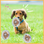 Brown puppy with blue harness plays on green grass with smart pet toy ball, doodle accents