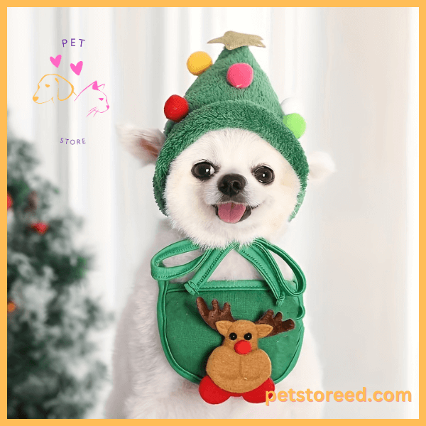 Adorable dog dressed in SnuffelKerst Christmas hat, adding charm to holiday celebrations.