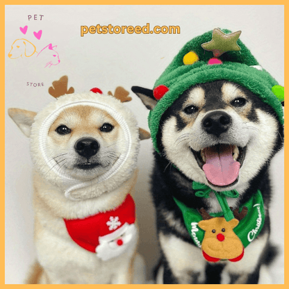 Cute Christmas-themed hats for pets, with reindeer and tree designs from SnuffelKerst.