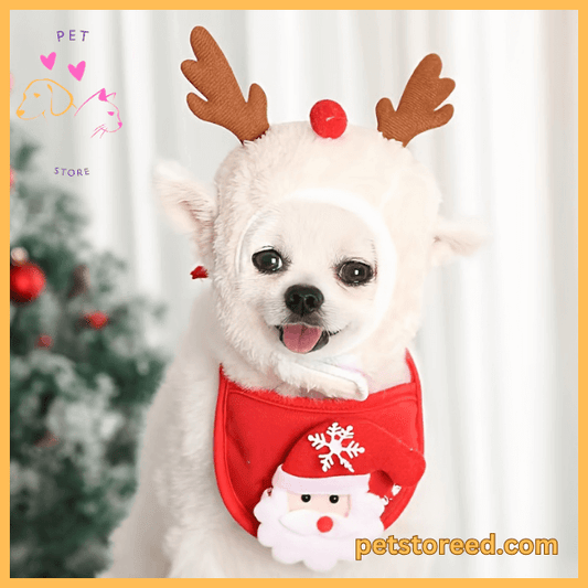 Festive dog Christmas hat and Santa bib from SnuffelKerst, holiday outfit for pets