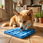 A Snuffle Mat for Dogs to Slow Down Mealtime Naturally