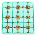 A Snuffle Mat for Dogs to Slow Down Mealtime Naturally