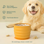 Orange collapsible dog bowl on the floor beside a golden retriever, slow feeder benefits shown