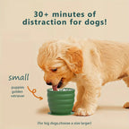 Golden retriever puppy occupied at mealtime with the small SnugBowl dog bowl