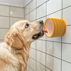 Suction cup dog bowl fixed to a wet shower tile during bath time