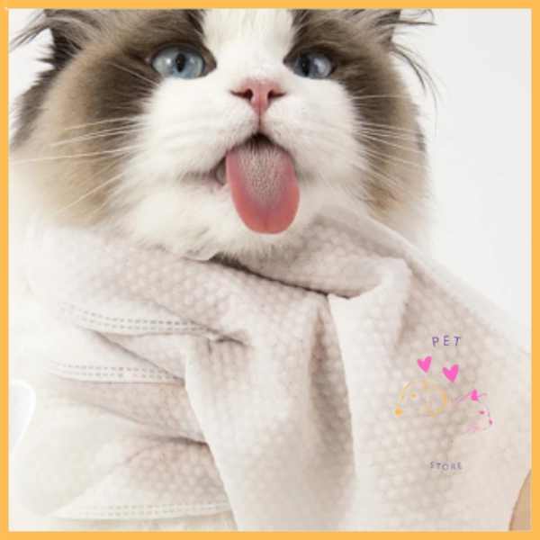 Fluffy cat with blue eyes wearing soft clean pet grooming glove, sticking out tongue