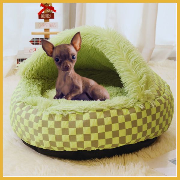 Small dog in green plush pet bed with checkered pattern and fluffy hood