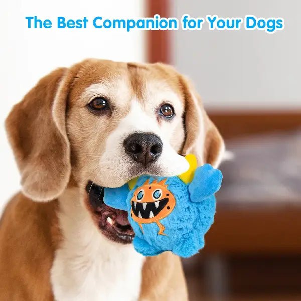 Beagle dog holding a squeaky dog toy plush in its mouth