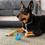 Green squeaky dog toy plush with monster face design