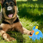German Shepherd puppy sitting on grass next to a blue squeaky dog toy