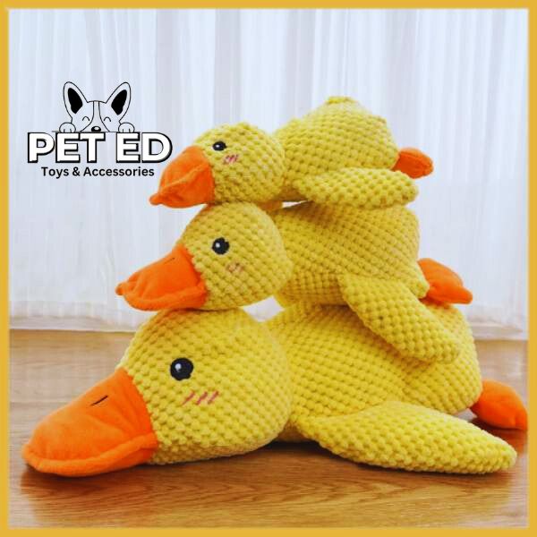 Stack of cute yellow plush duck toys for pets on a wooden floor, Pet Ed branding visible.