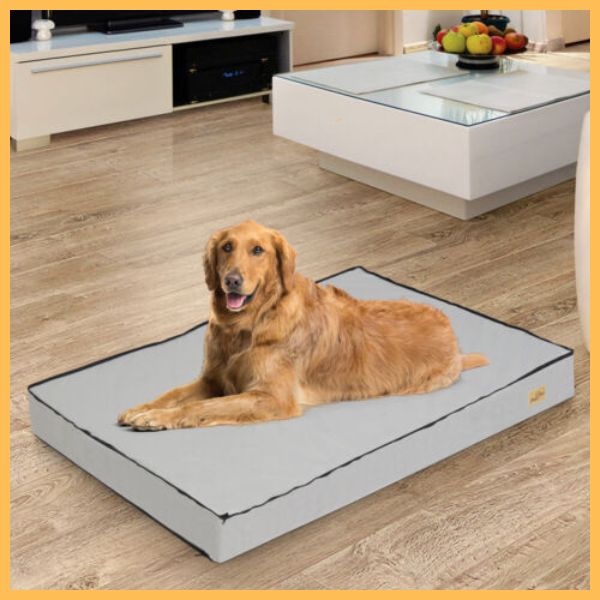 Golden retriever lying on a stylish orthopedic dog cushion in a modern living room