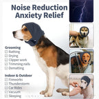 Dog wearing ear covers for thunderstorm protection, anxiety and noise reduction benefits