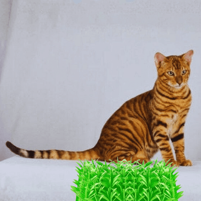 Comer rápido perjudica a las mascotas: cómo solucionarlo con suavidad | Gato