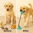 Aggressive Chewer? Get the Best Dog Chew Toy Suction Cup! - Pet Store ED